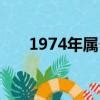 74生肖|1974年属什么 1974年属什么生肖属于什么命